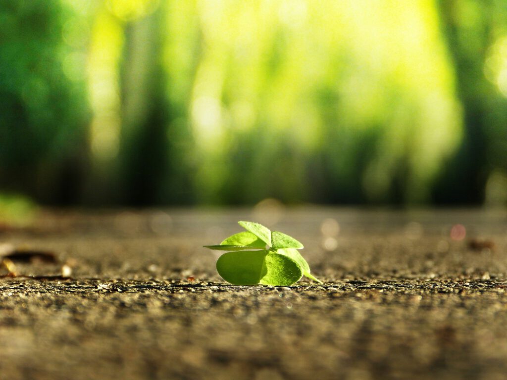 Coaching for happiness