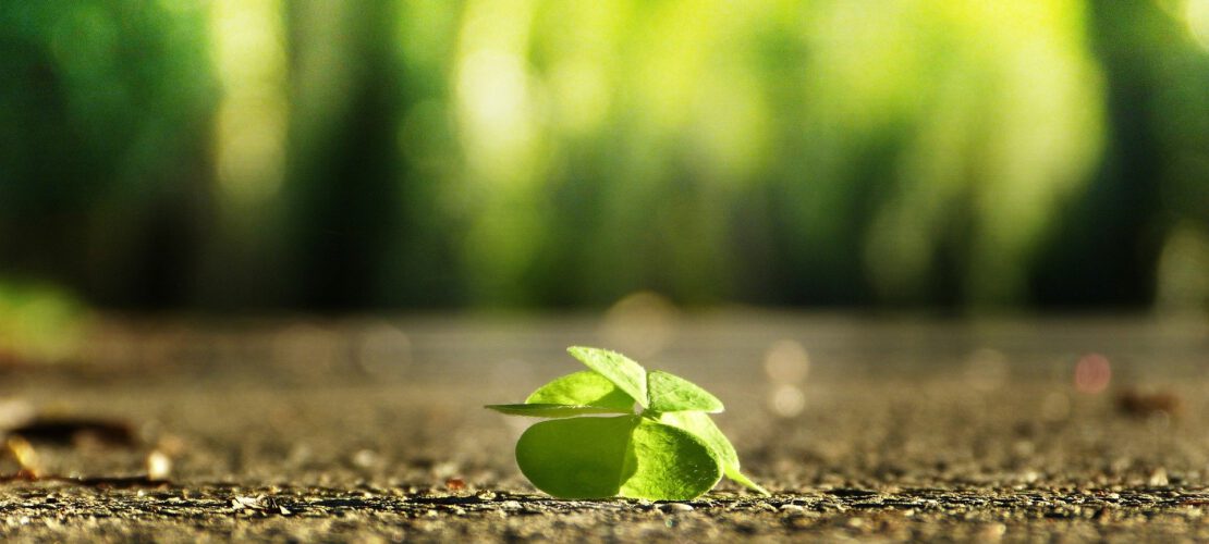 Coaching for happiness